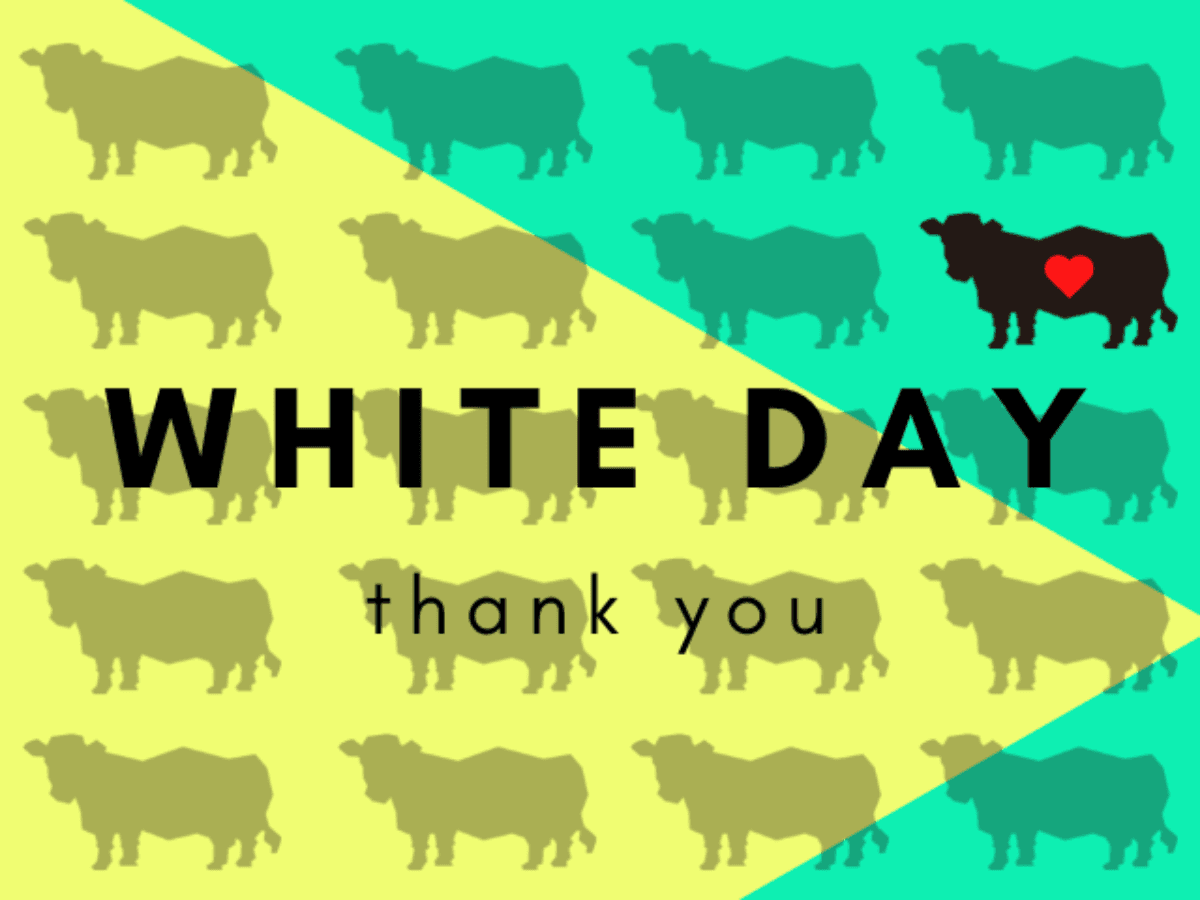 ギフトカード画像選択肢815